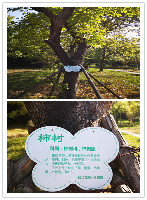05cd9e7b1c8e480190150ce092d6bfda.Png