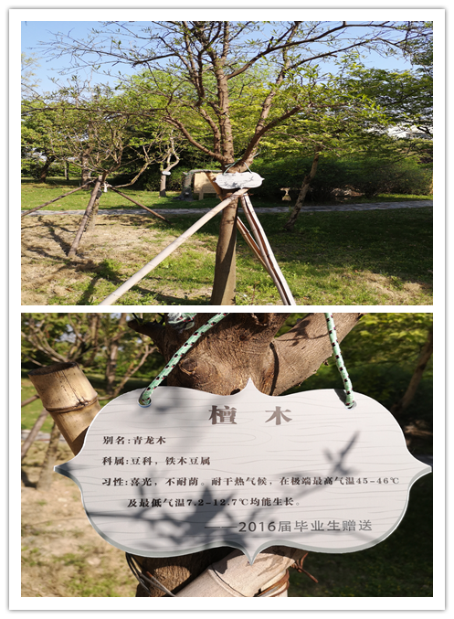 2f49c60797904bf48fb5f8a891374d55.Png
