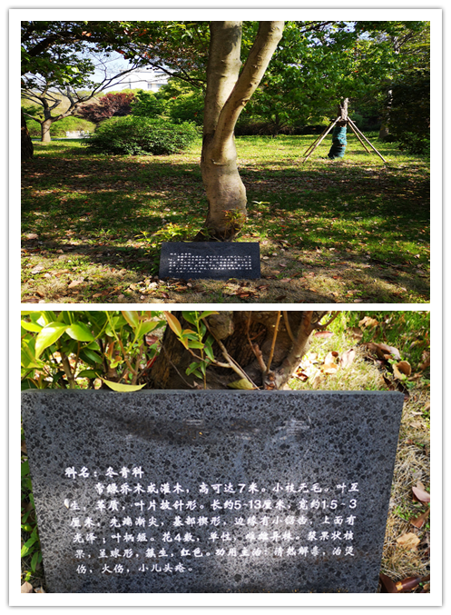 3cf69cc6a5034037b37d8c4ab6d2ae88.Png