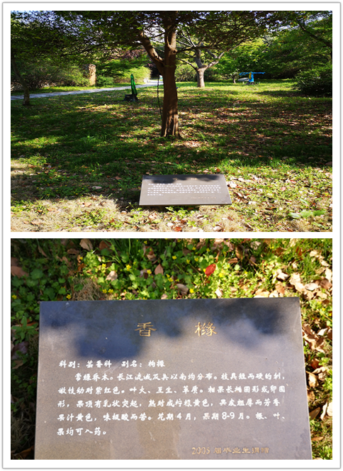 4212845bdace478da7def70d078d769a.Png