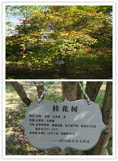 47afcd4e005a4e38bc3df43f4da24aa9.Png