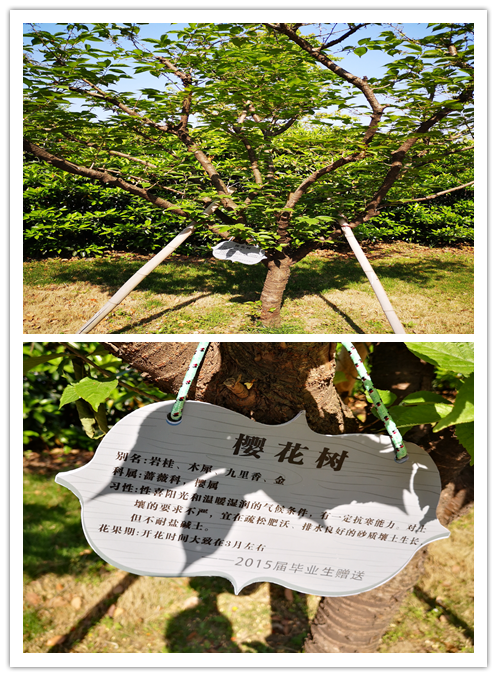 aef0e5da96304f99bcbb1d94814b8f6b.Png