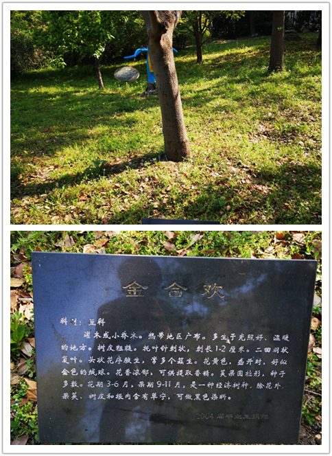 dbefaac1f68b41c2adfc080243f4800d.Png
