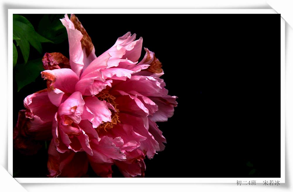 7eddc9badce24de3b793c4252518a15a.jpg